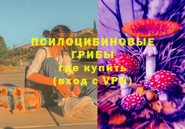 стаф Беломорск