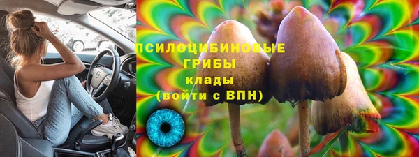 стаф Беломорск