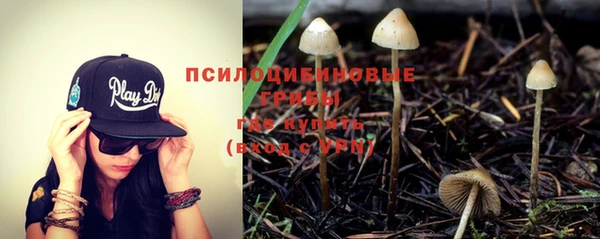 стаф Беломорск