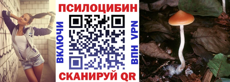 Галлюциногенные грибы Cubensis  Высоцк 