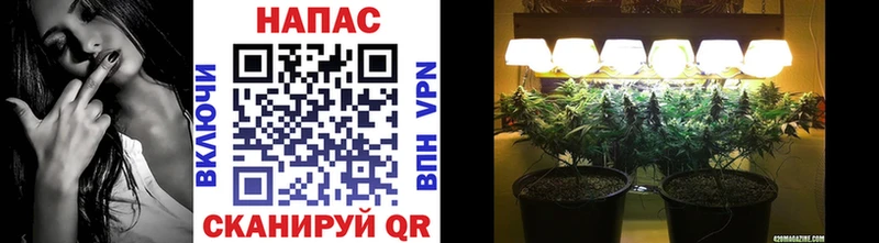 МАРИХУАНА MAZAR  Высоцк 